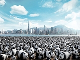 1600 панд путешествуют по Гонконгу