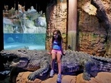 Дубайский зоопарк пополнился гигантским крокодилом