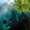 Дайв‑сафари (подводный Таиланд)