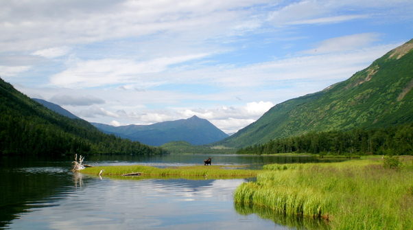 Рыболовный тур на Аляску 