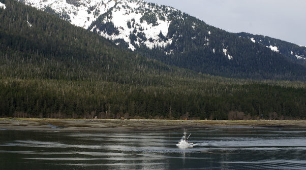 Рыболовный тур на Аляску 